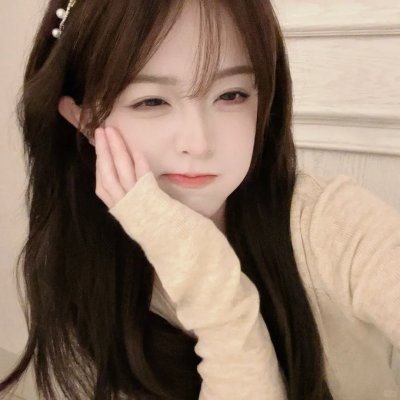 双子座计划